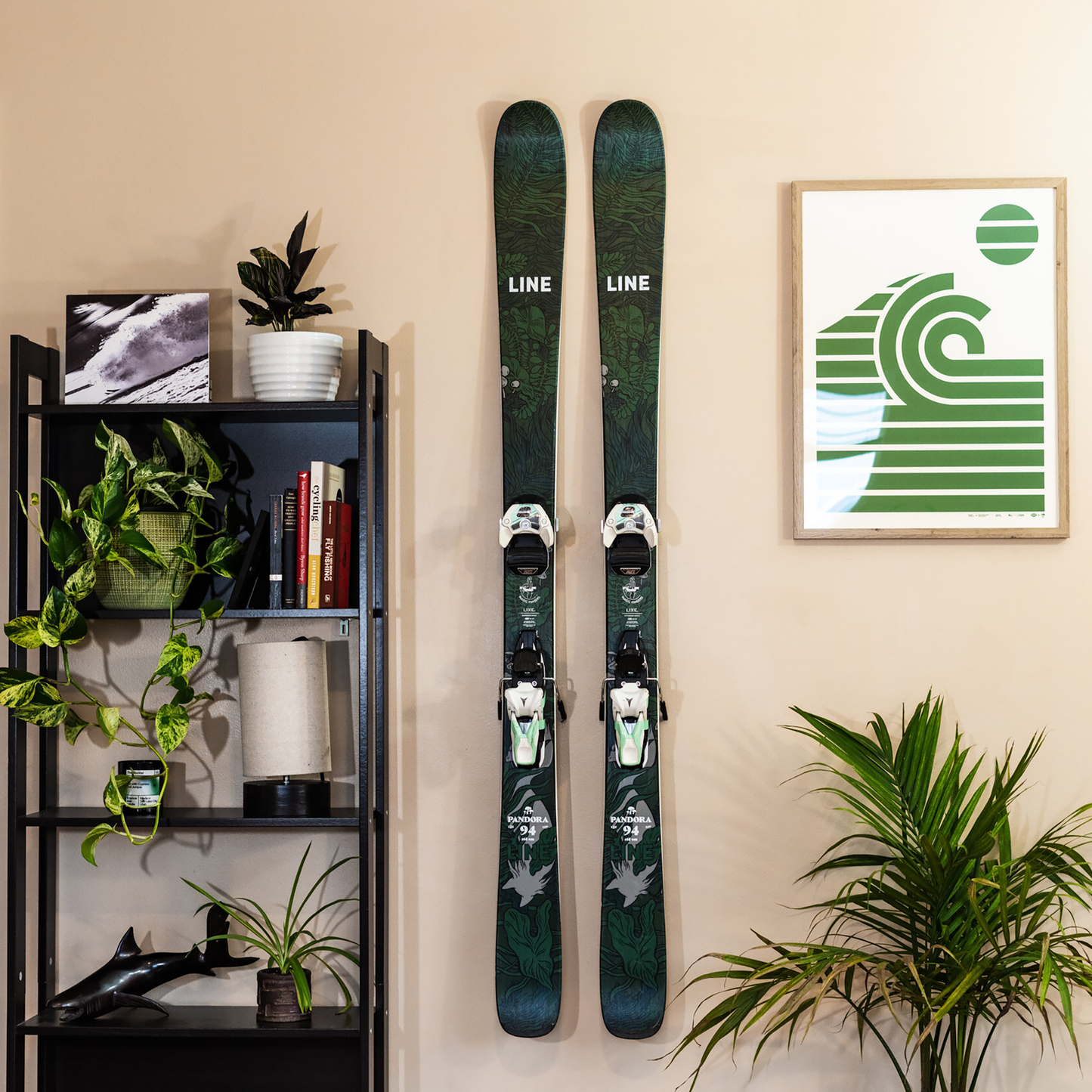 Hover. The Wall Mount Ski